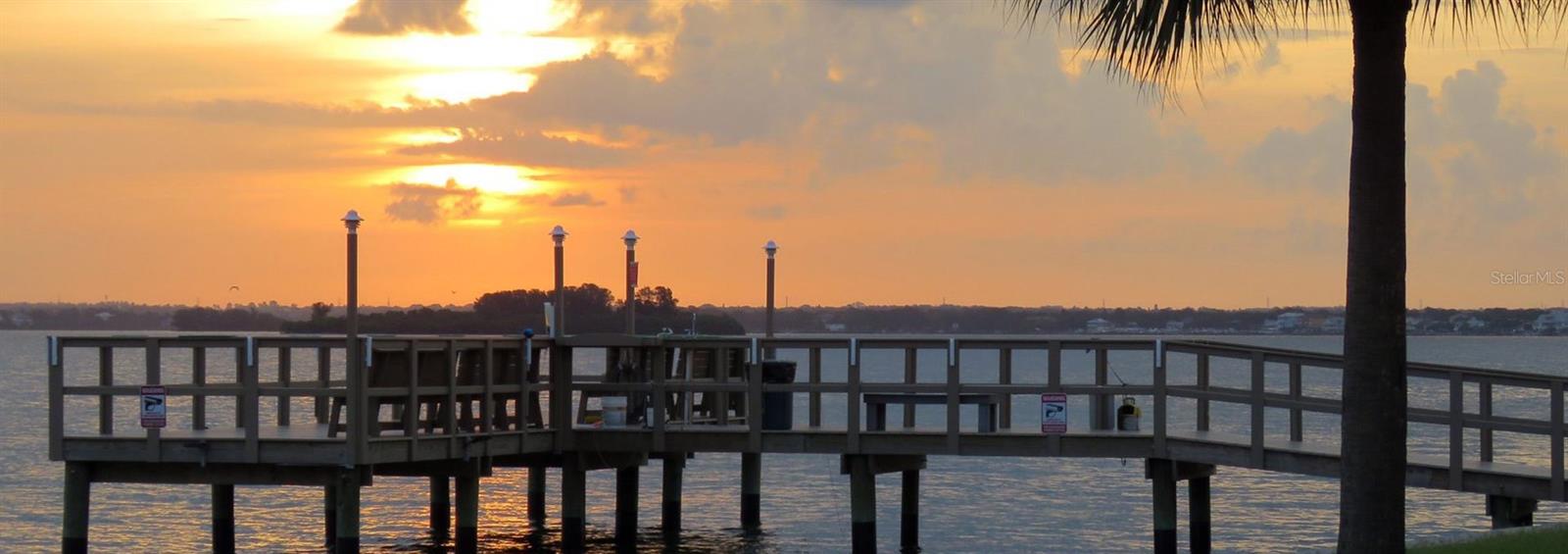7 ELGIN PL #301, DUNEDIN, FL — photo 28