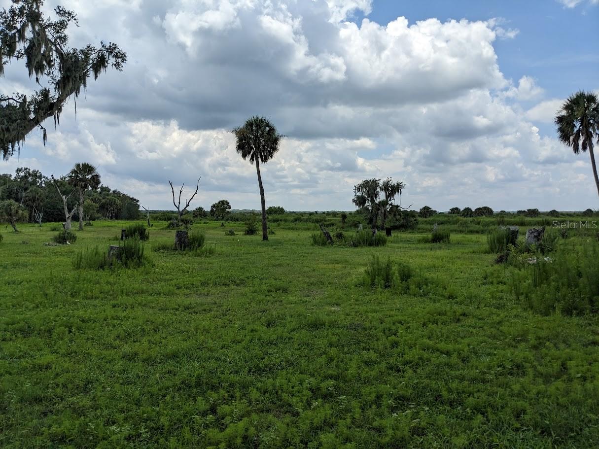 12980 and 12990 RIVER RD, MYAKKA CITY, FL — photo 8