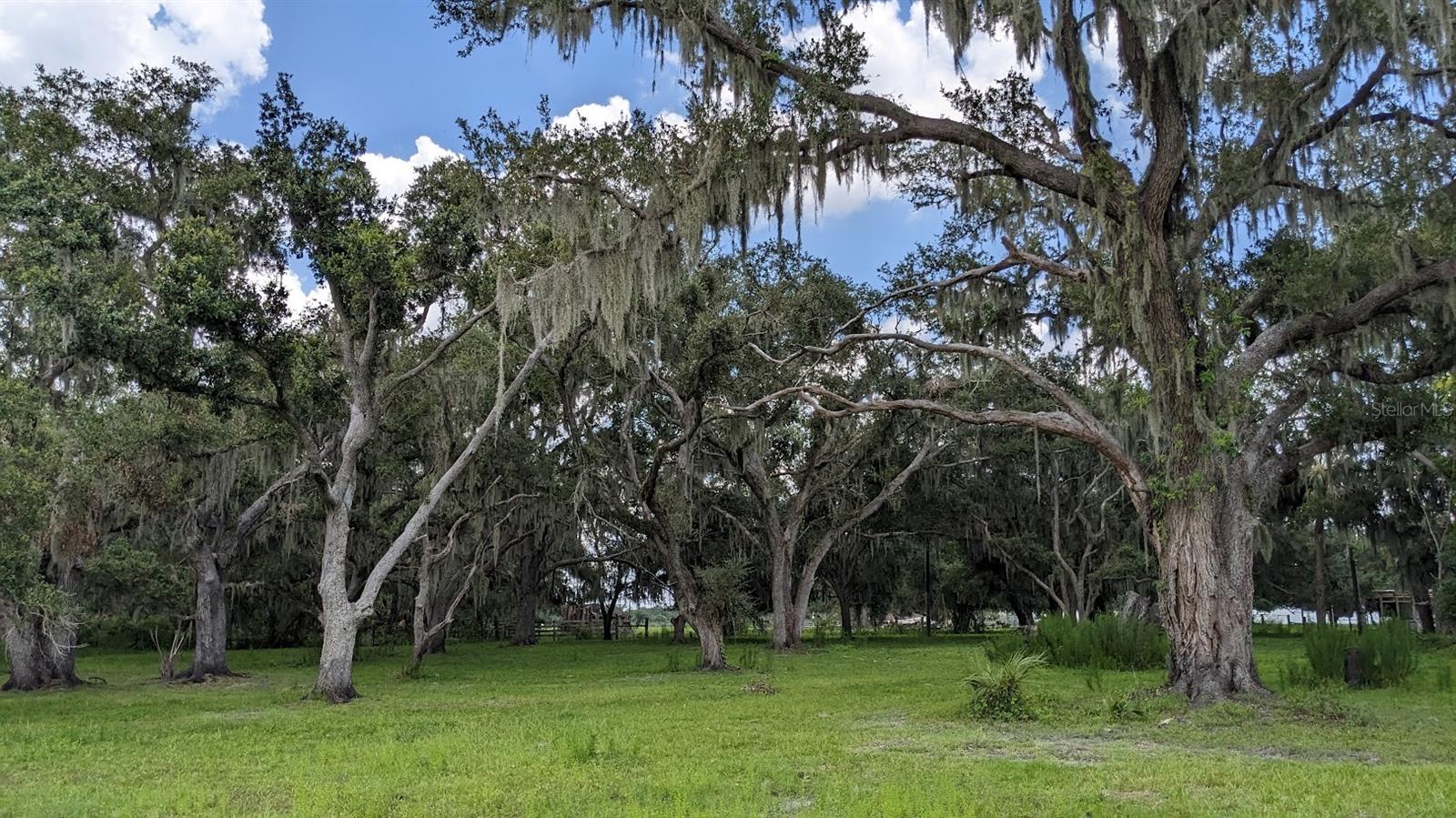 12980 and 12990 RIVER RD, MYAKKA CITY, FL — photo 9