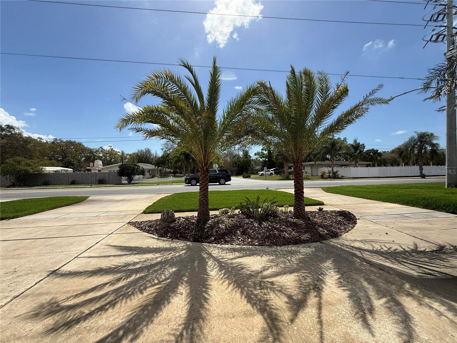 2058 NURSERY RD, CLEARWATER, FL — photo 6