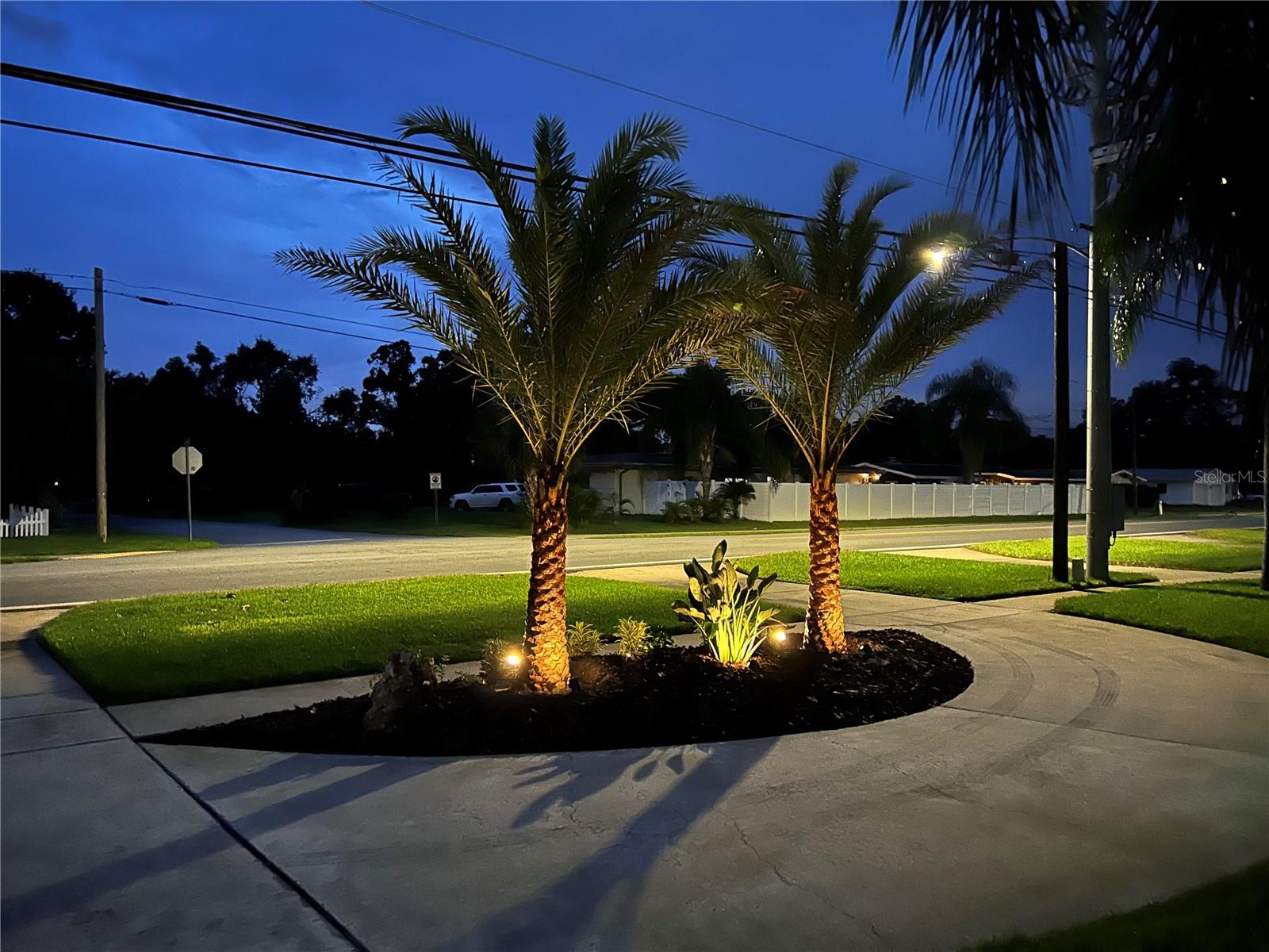 2058 NURSERY RD, CLEARWATER, FL — photo 9