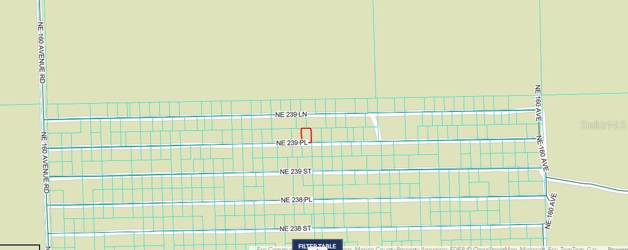 NE 243RD PLACE RD, FORT MC COY, FL — photo 2