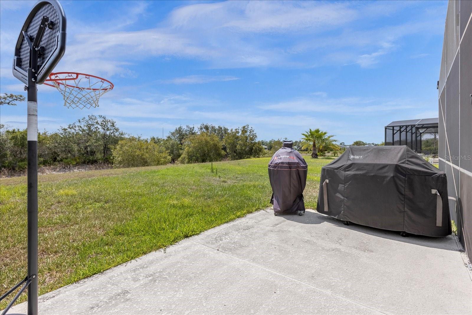 308 YELLOW SNAPDRAGON DR, DAVENPORT, FL — photo 49