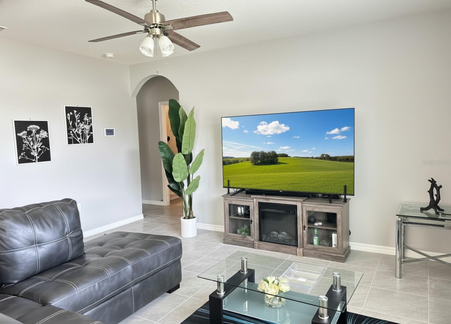 3048 BETHPAGE LOOP, MOUNT DORA, FL — photo 36