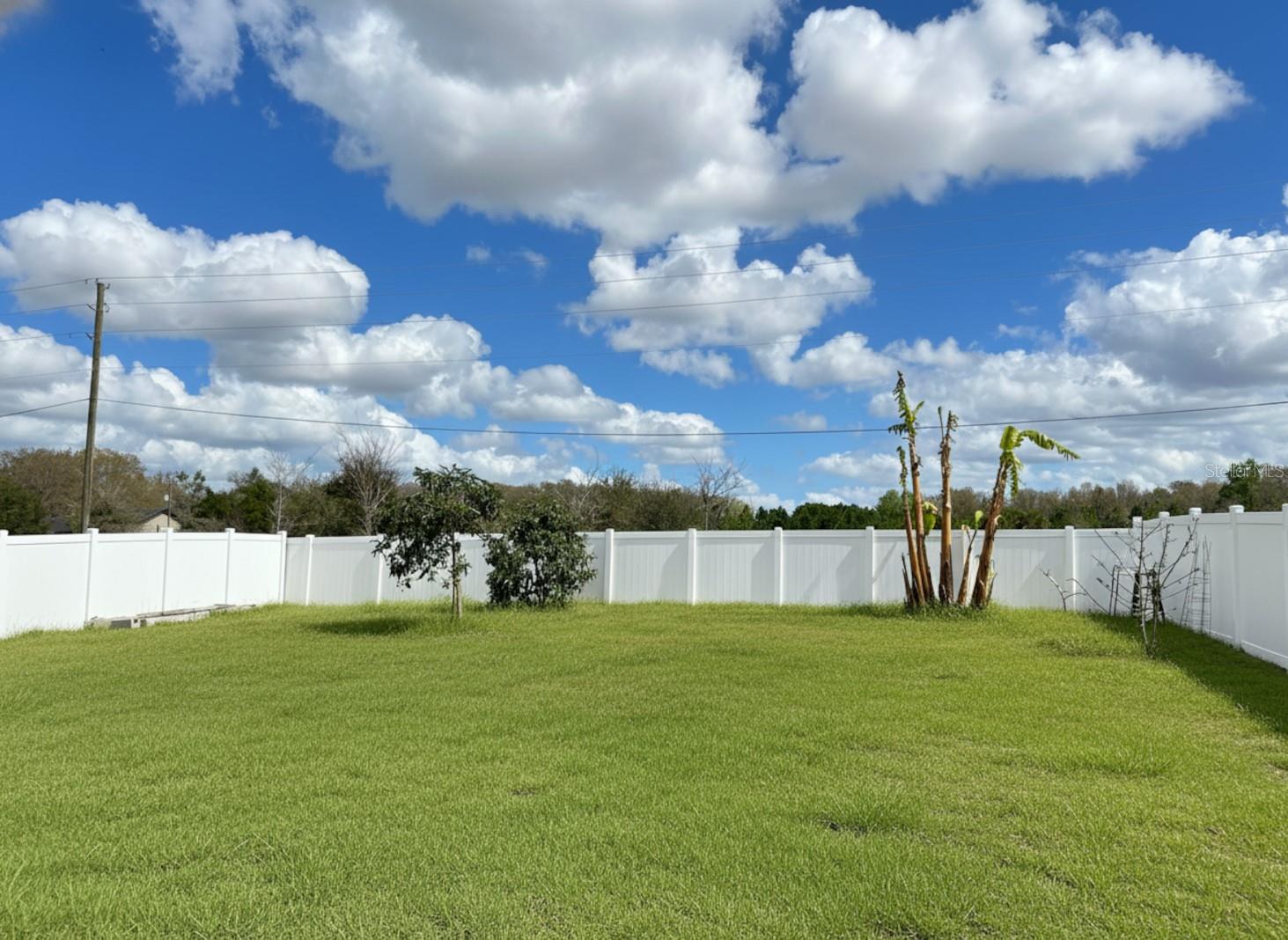 3048 BETHPAGE LOOP, MOUNT DORA, FL — photo 74