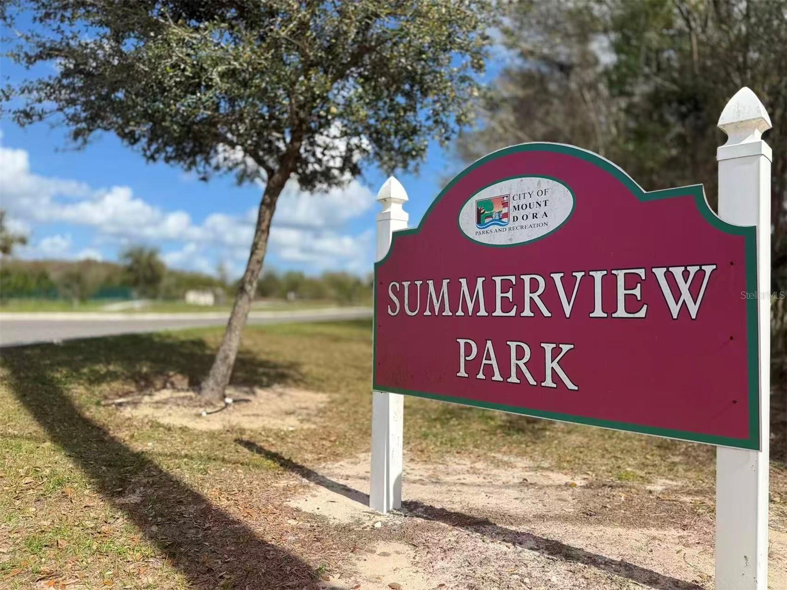 3048 BETHPAGE LOOP, MOUNT DORA, FL — photo 102