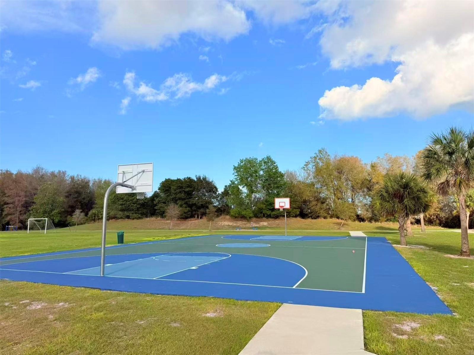 3048 BETHPAGE LOOP, MOUNT DORA, FL — photo 92