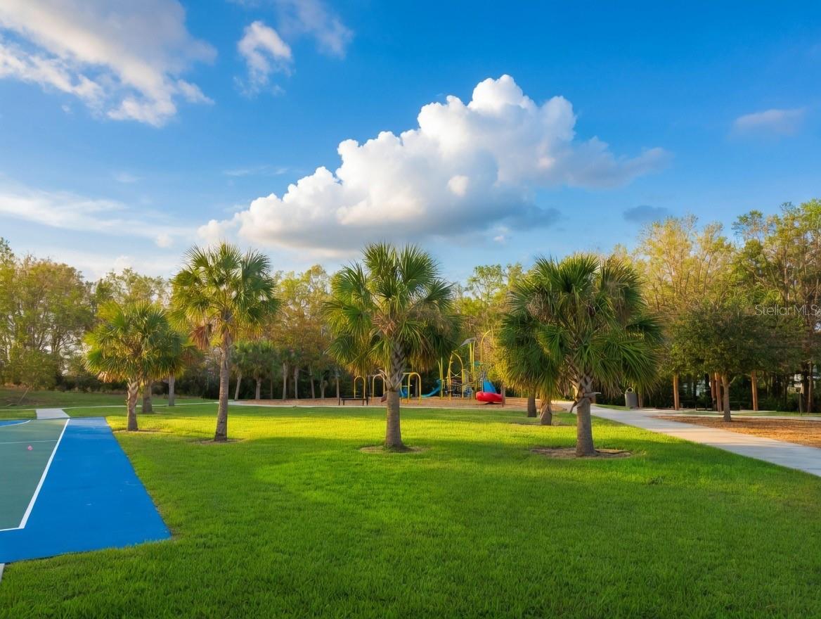 3048 BETHPAGE LOOP, MOUNT DORA, FL — photo 100