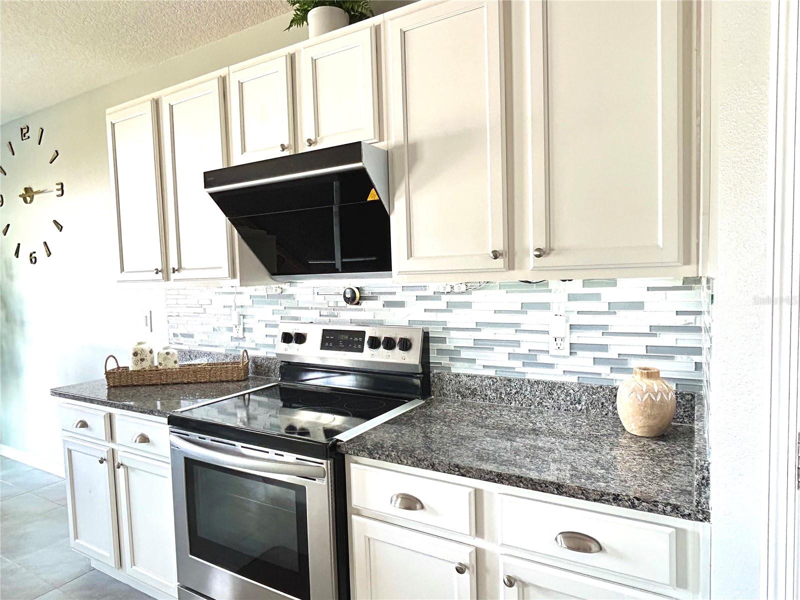 3048 BETHPAGE LOOP, MOUNT DORA, FL — photo 24