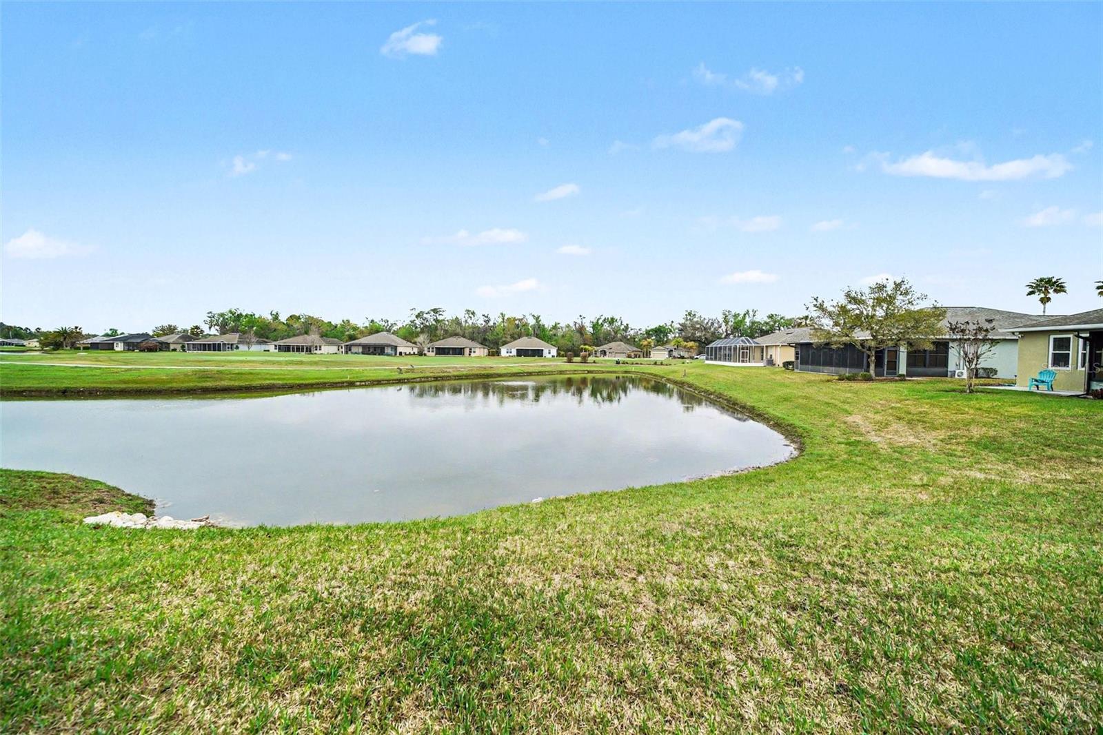 10321 OLD TAMPA BAY DR, SAN ANTONIO, FL — photo 26