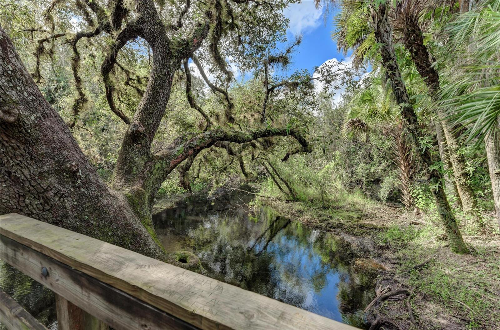 12029 CORSICA LN, NORTH PORT, FL — photo 36