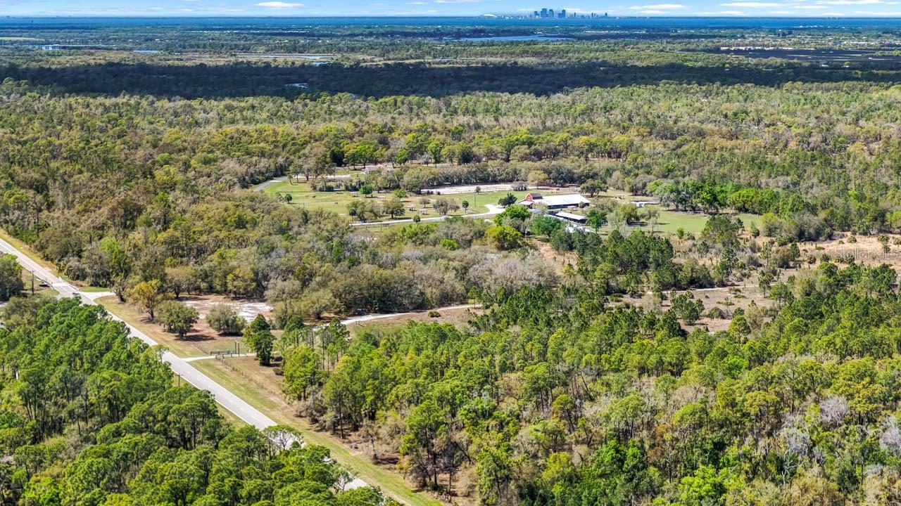 3106 TIMBERLEE RD, WIMAUMA, FL — photo 19