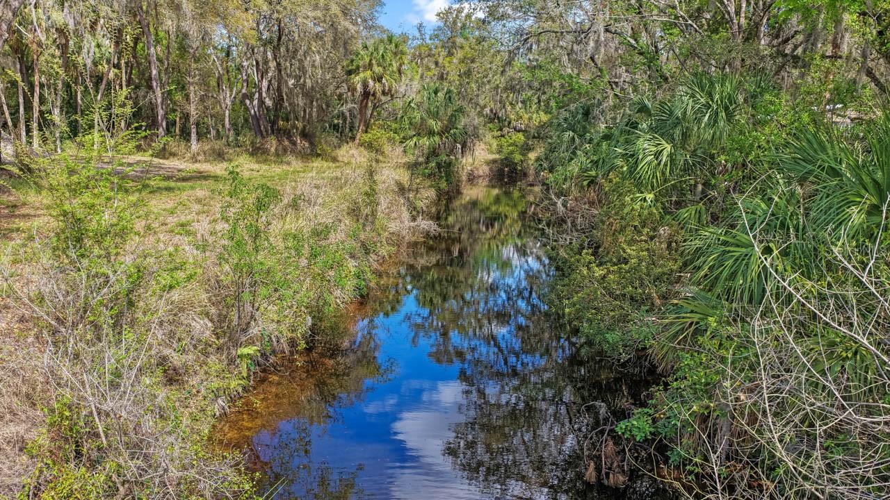 3106 TIMBERLEE RD, WIMAUMA, FL — photo 31