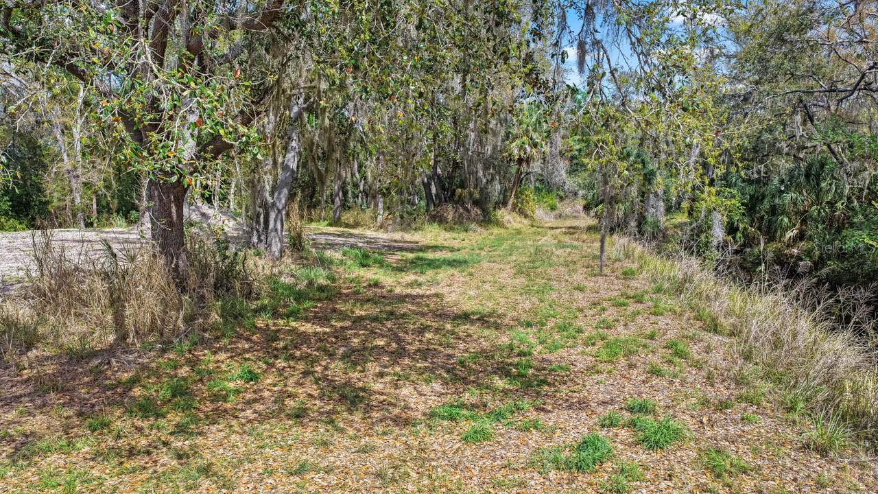 3106 TIMBERLEE RD, WIMAUMA, FL — photo 33