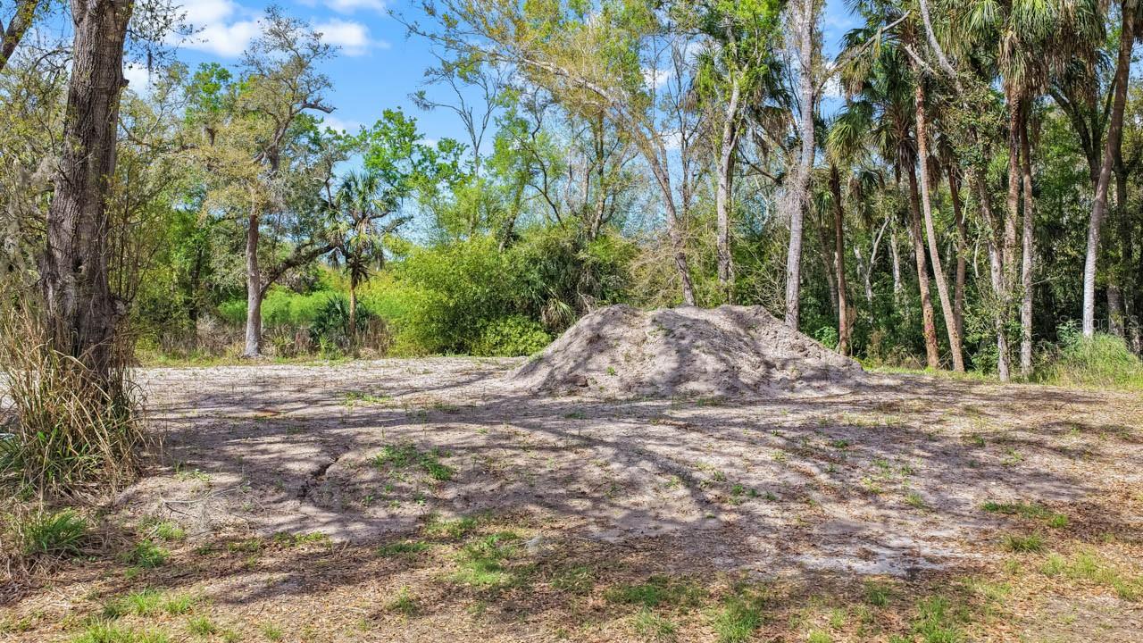 3106 TIMBERLEE RD, WIMAUMA, FL — photo 35