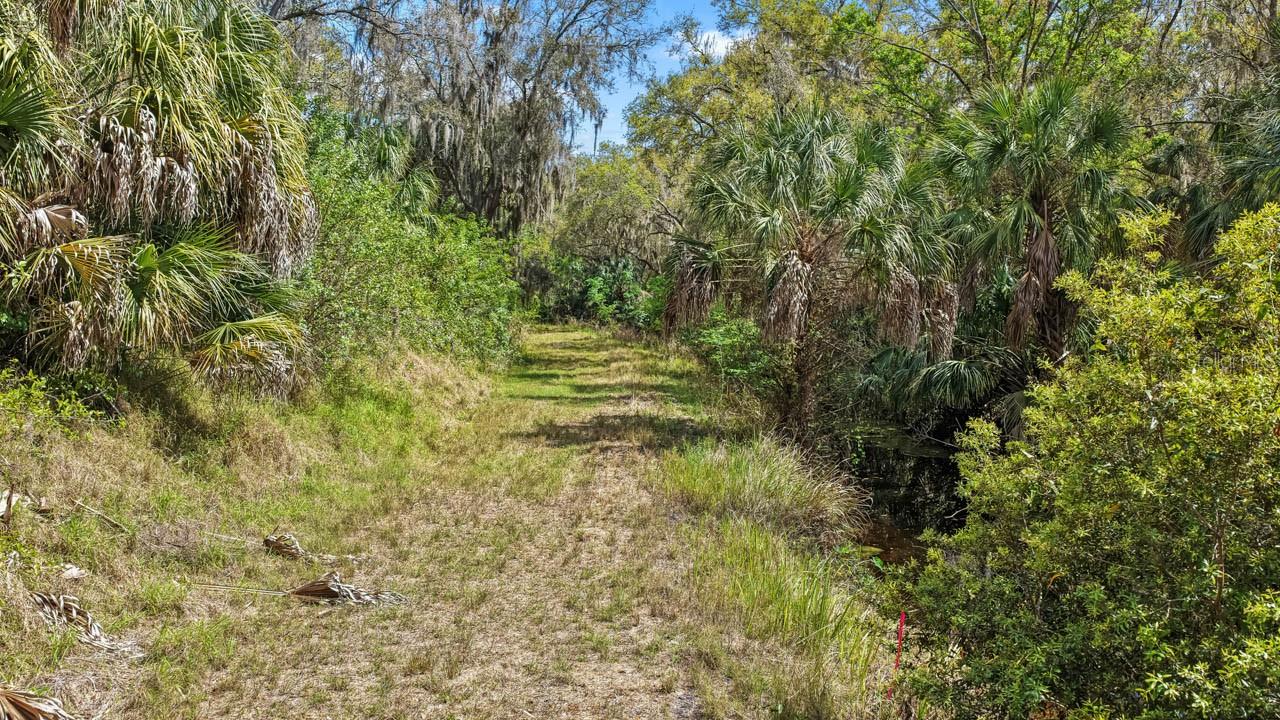 3106 TIMBERLEE RD, WIMAUMA, FL — photo 38