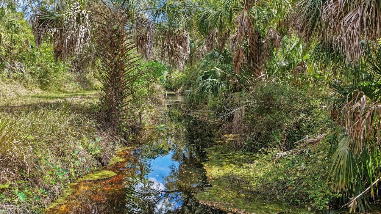 3106 TIMBERLEE RD, WIMAUMA, FL — photo 40