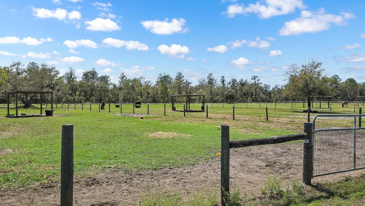 3106 TIMBERLEE RD, WIMAUMA, FL — photo 43