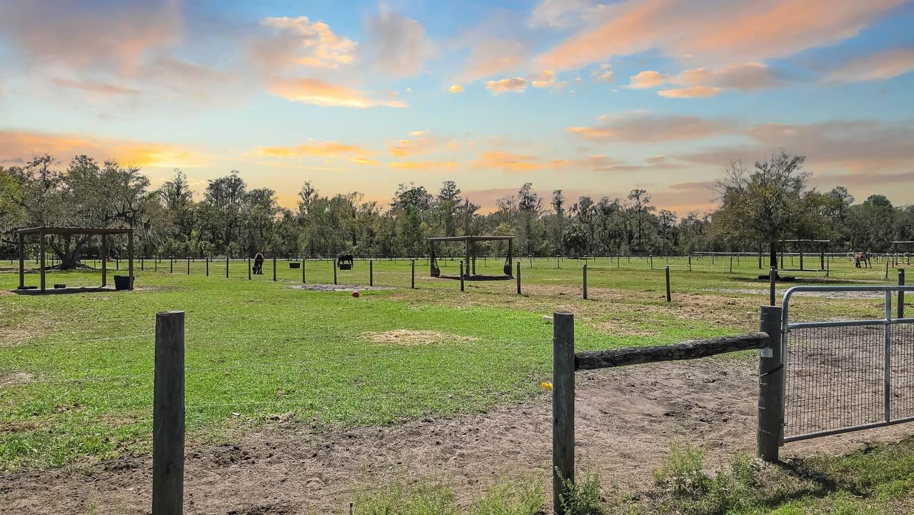3106 TIMBERLEE RD, WIMAUMA, FL — photo 45