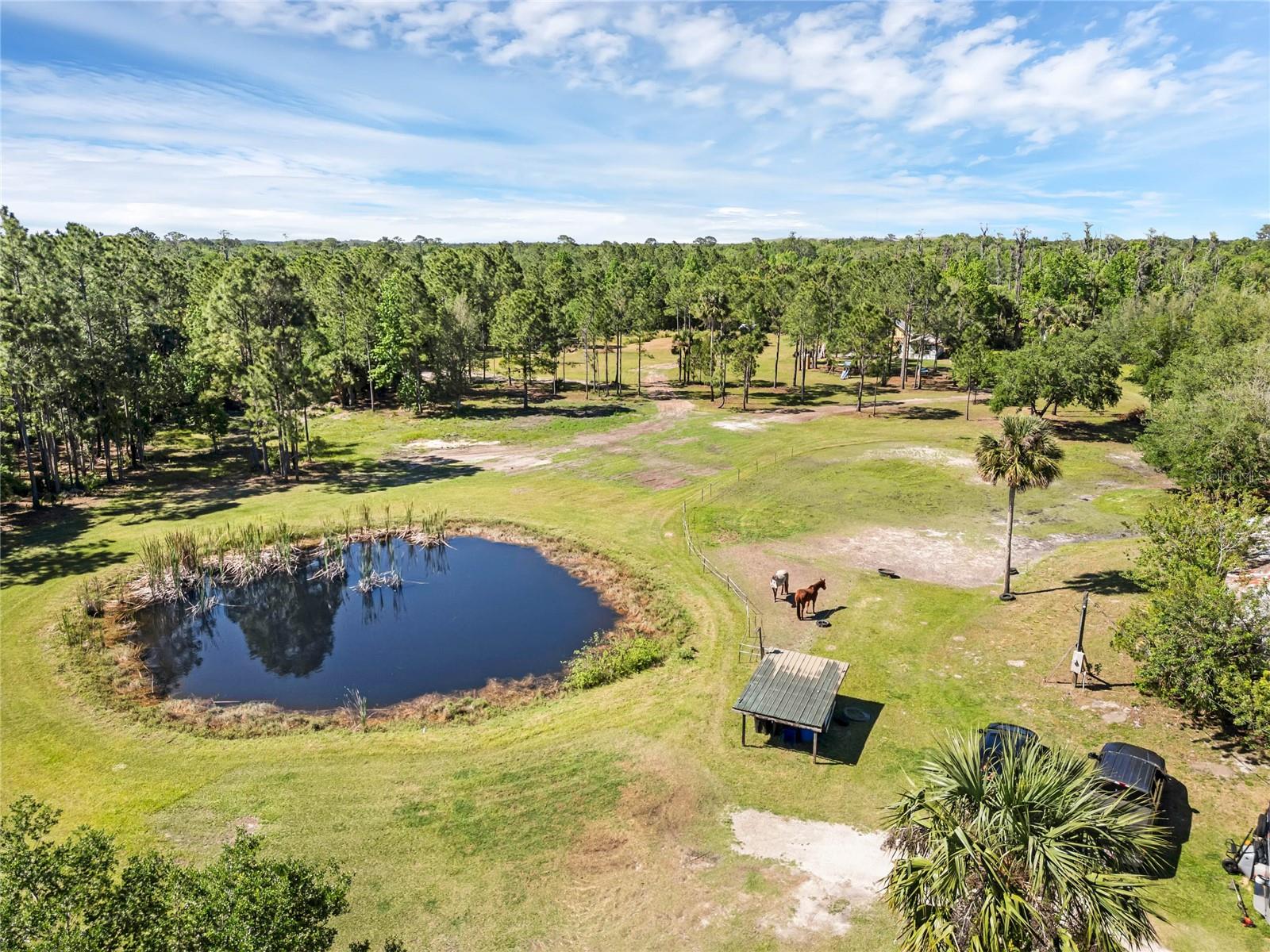 2321 WACCASSA ST, GENEVA, FL