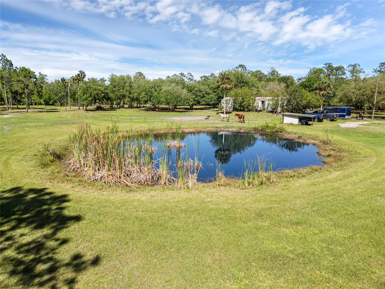 2321 WACCASSA ST, GENEVA, FL — photo 2