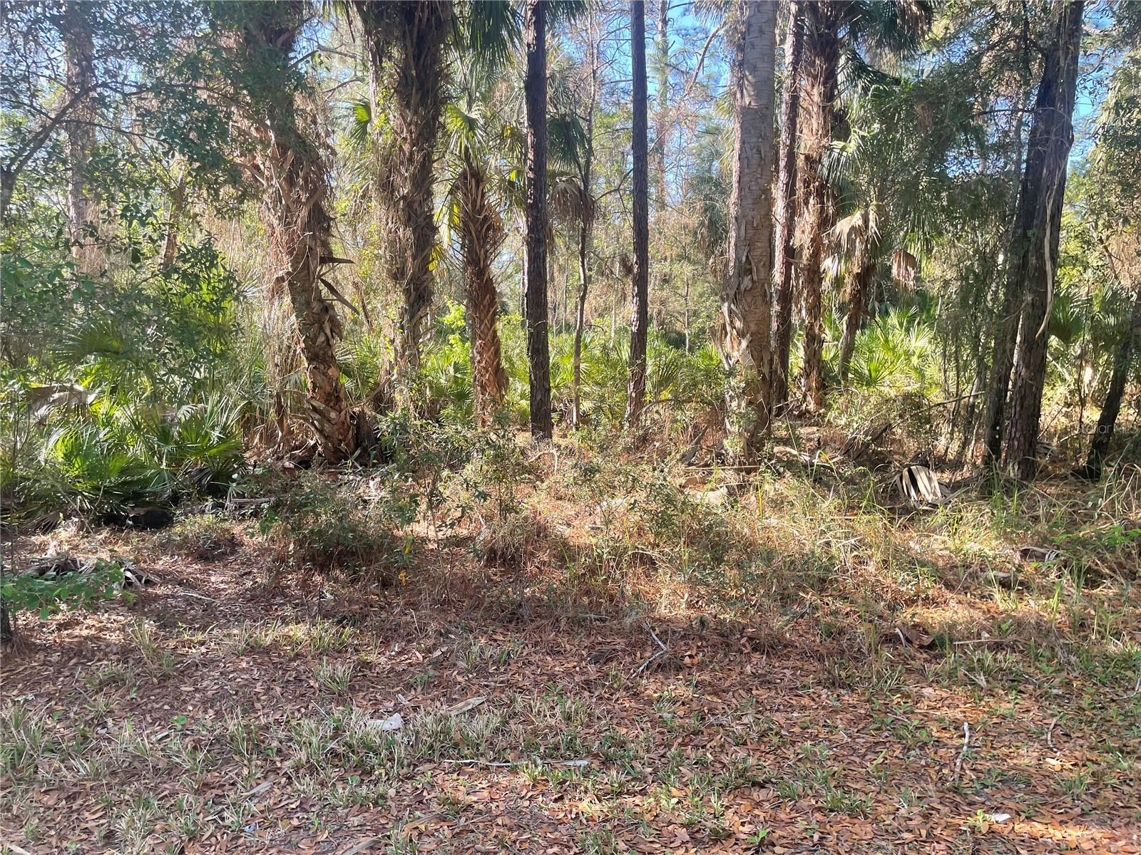 1120 NE 3RD ST, CRYSTAL RIVER, FL