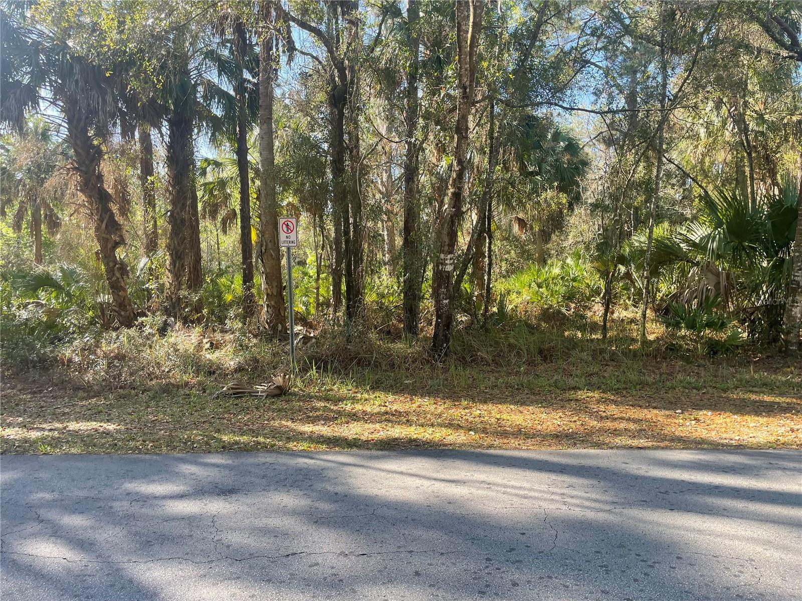 1120 NE 3RD ST, CRYSTAL RIVER, FL — photo 2