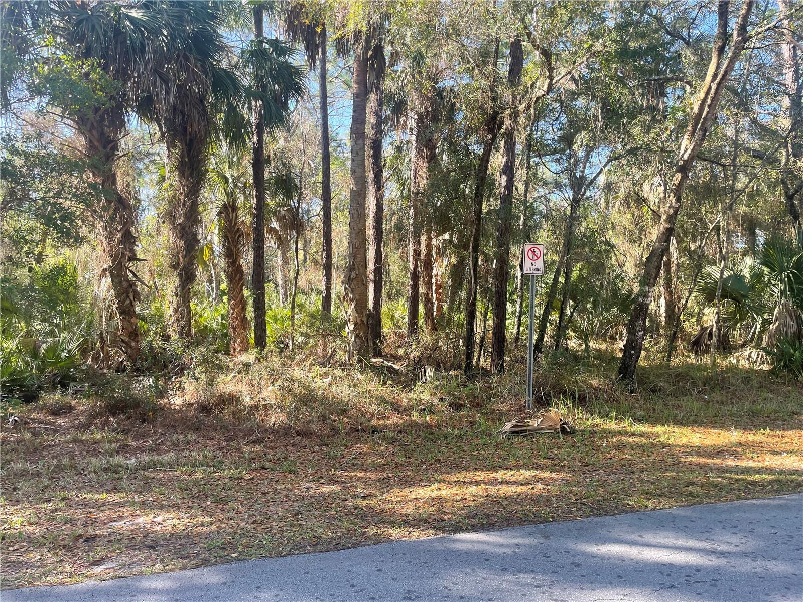 1120 NE 3RD ST, CRYSTAL RIVER, FL — photo 3