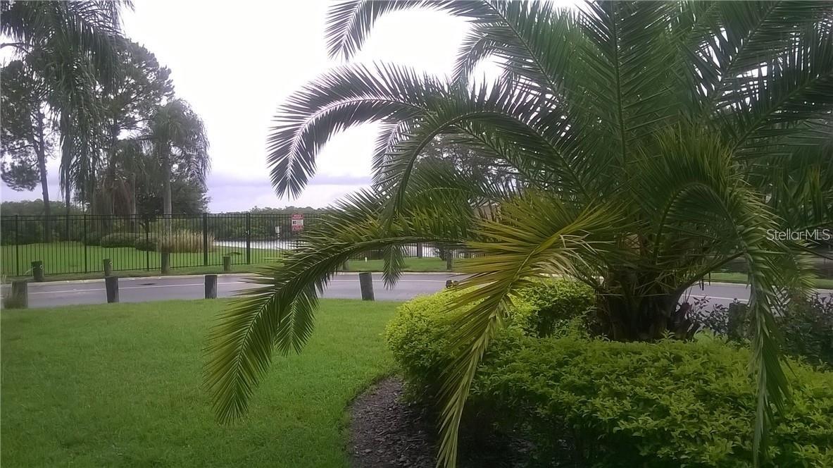 8802 BAY POINTE DR #102, TAMPA, FL — photo 34