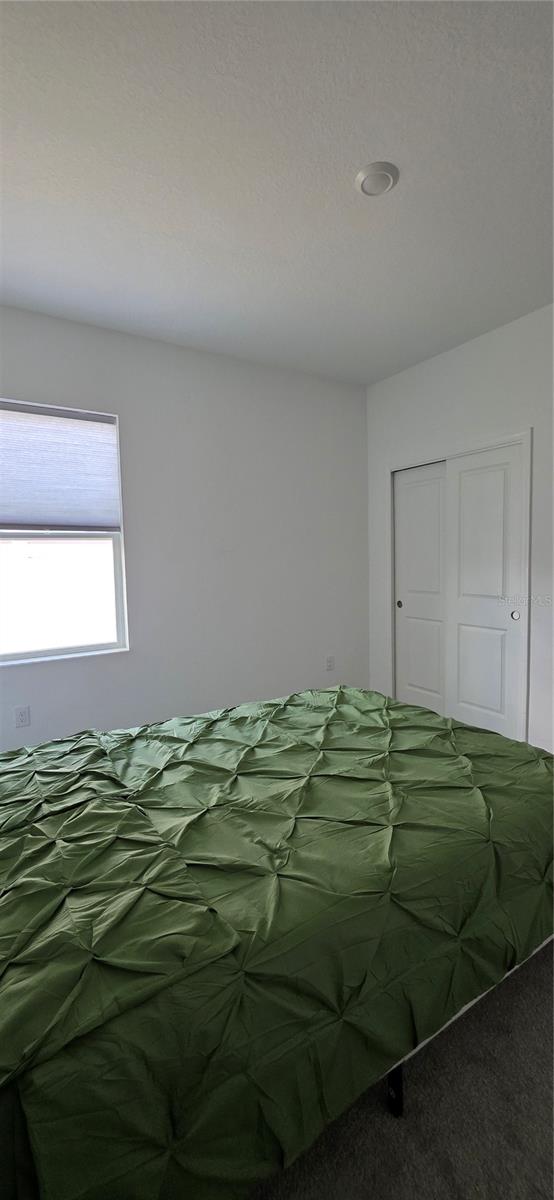299 BOTTLE BRUSH DR, HAINES CITY, FL — photo 16