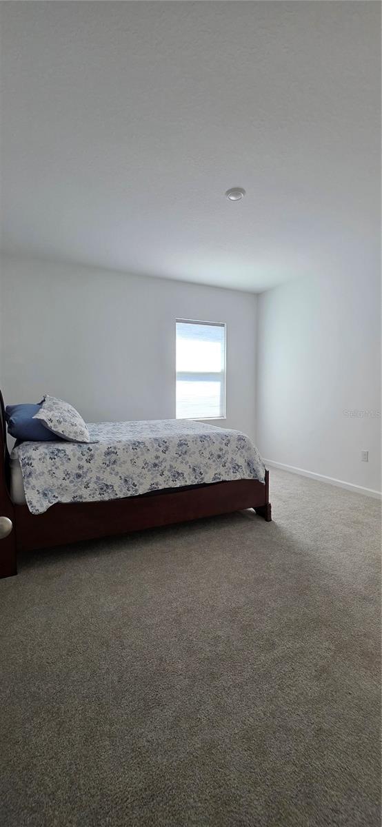 299 BOTTLE BRUSH DR, HAINES CITY, FL — photo 18