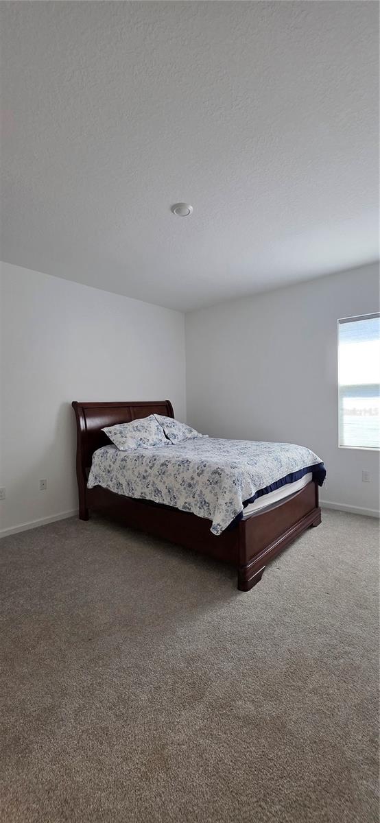 299 BOTTLE BRUSH DR, HAINES CITY, FL — photo 19
