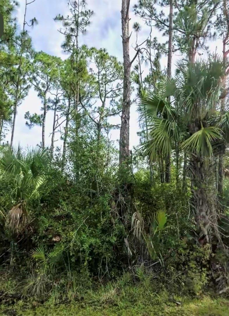 Lot 17 DONATELLO AVE, NORTH PORT, FL