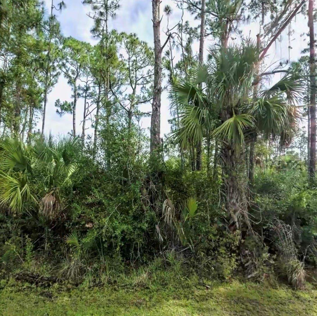 Lot 17 DONATELLO AVE, NORTH PORT, FL — photo 3
