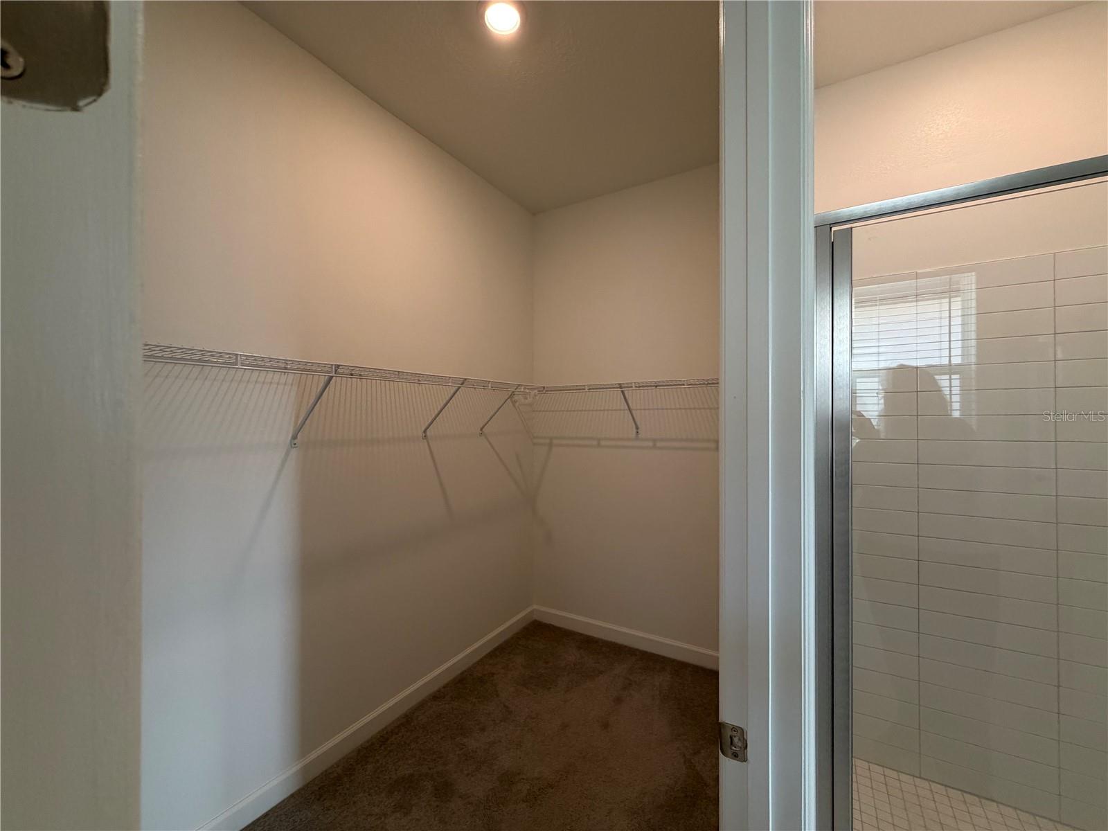 17165 SCUBA CREST ST, WIMAUMA, FL — photo 33