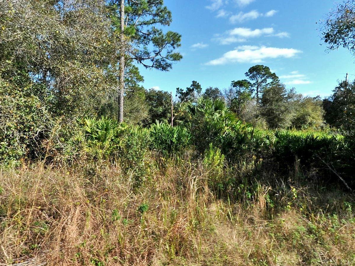 LONGFELLOW LN, NORTH PORT, FL
