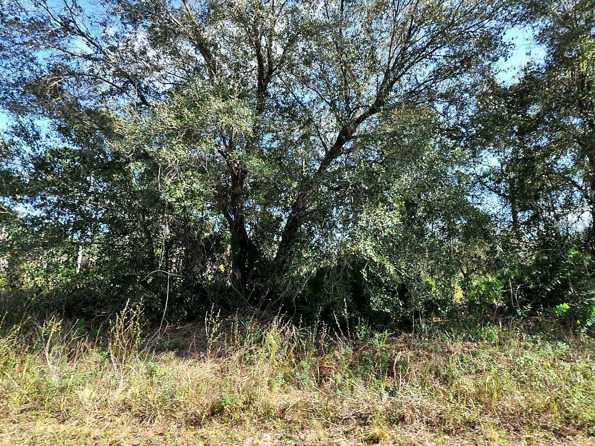 LONGFELLOW LN, NORTH PORT, FL — photo 2
