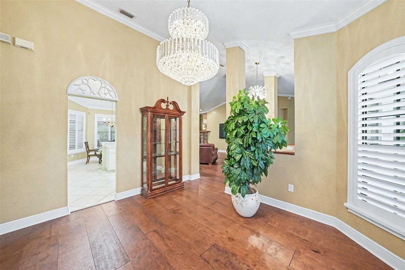 19216 RIDGELAKE DR, LUTZ, FL — photo 12