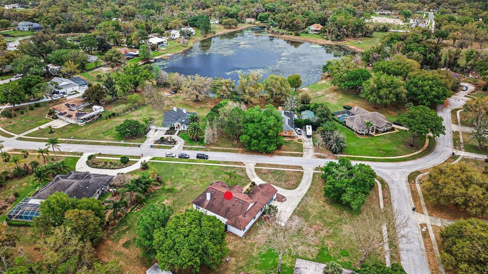 19216 RIDGELAKE DR, LUTZ, FL — photo 5