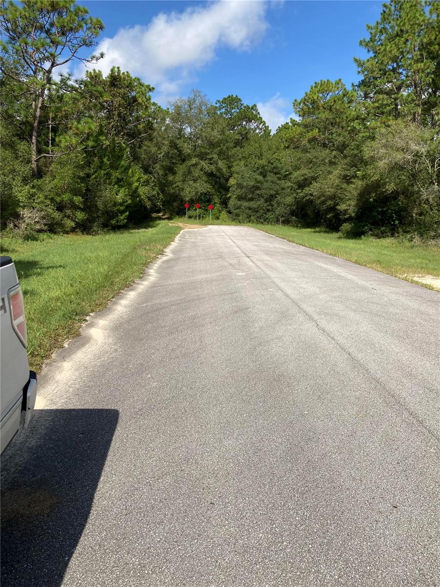 TBD SW 54TH ST, DUNNELLON, FL — photo 2