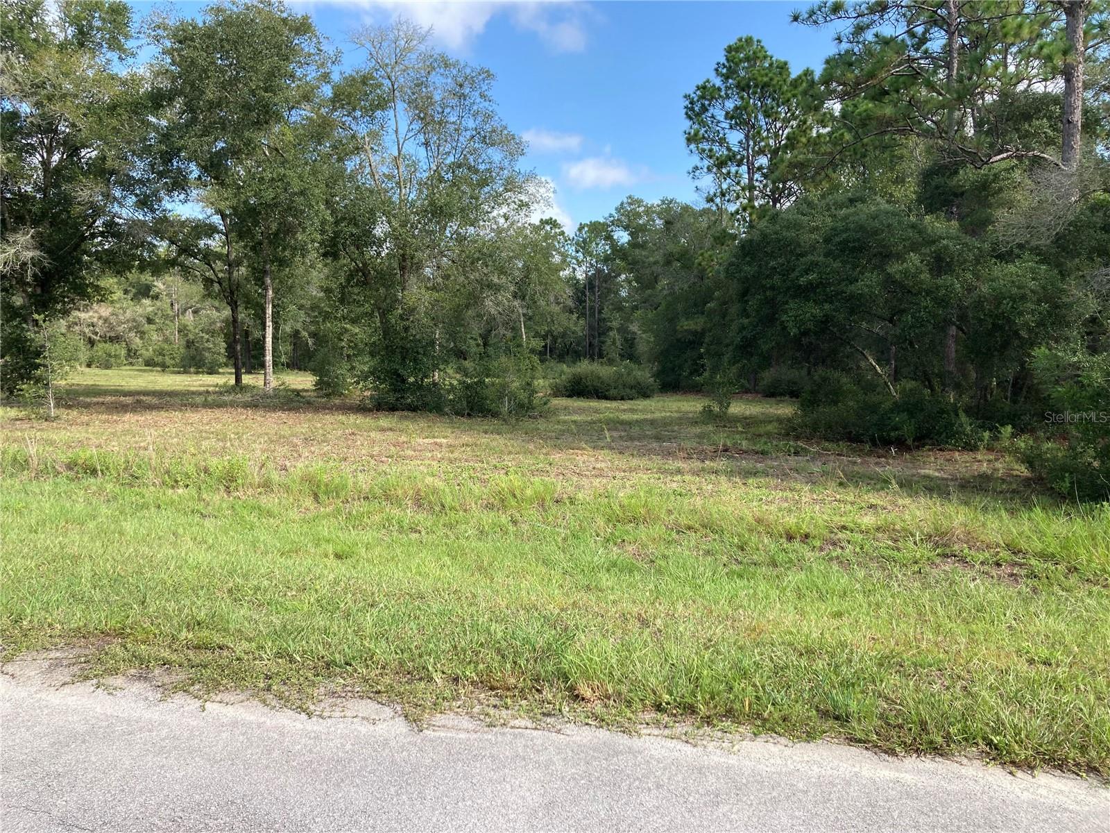 TBD SW 54TH ST, DUNNELLON, FL — photo 7