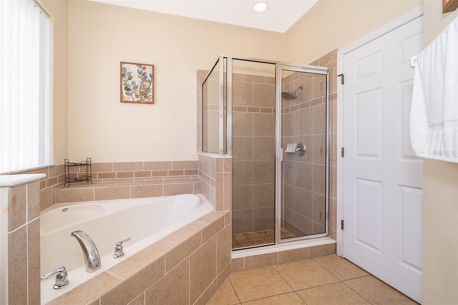 906 ORANGE COSMOS BLVD, DAVENPORT, FL — photo 20