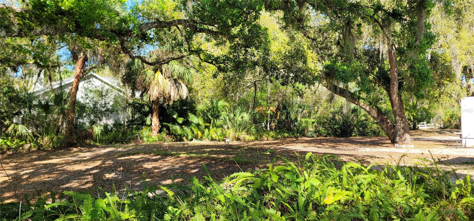 6610 MCKOWN RD, SARASOTA, FL — photo 65