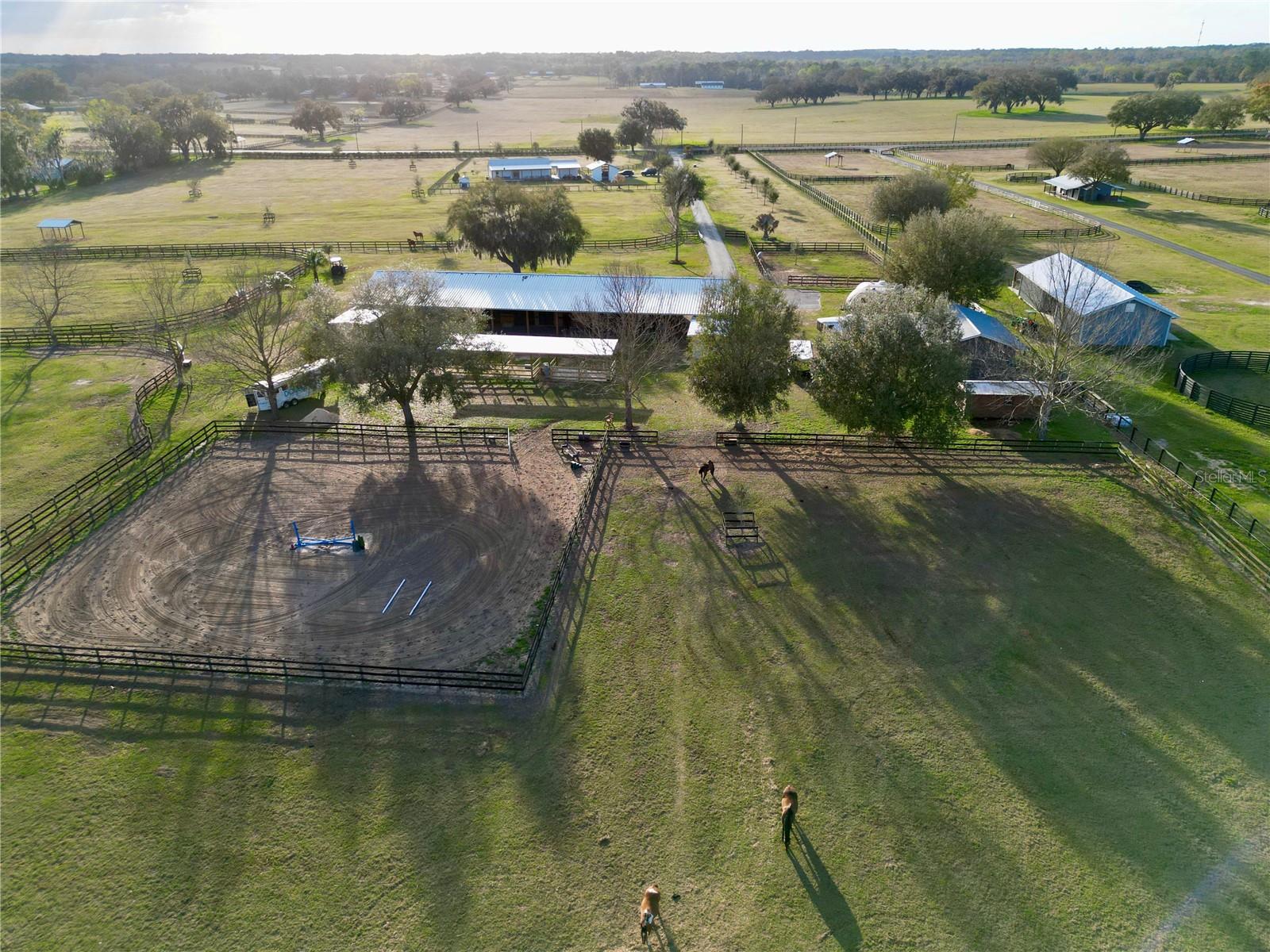 12895 NW GAINESVILLE RD, REDDICK, FL — photo 39