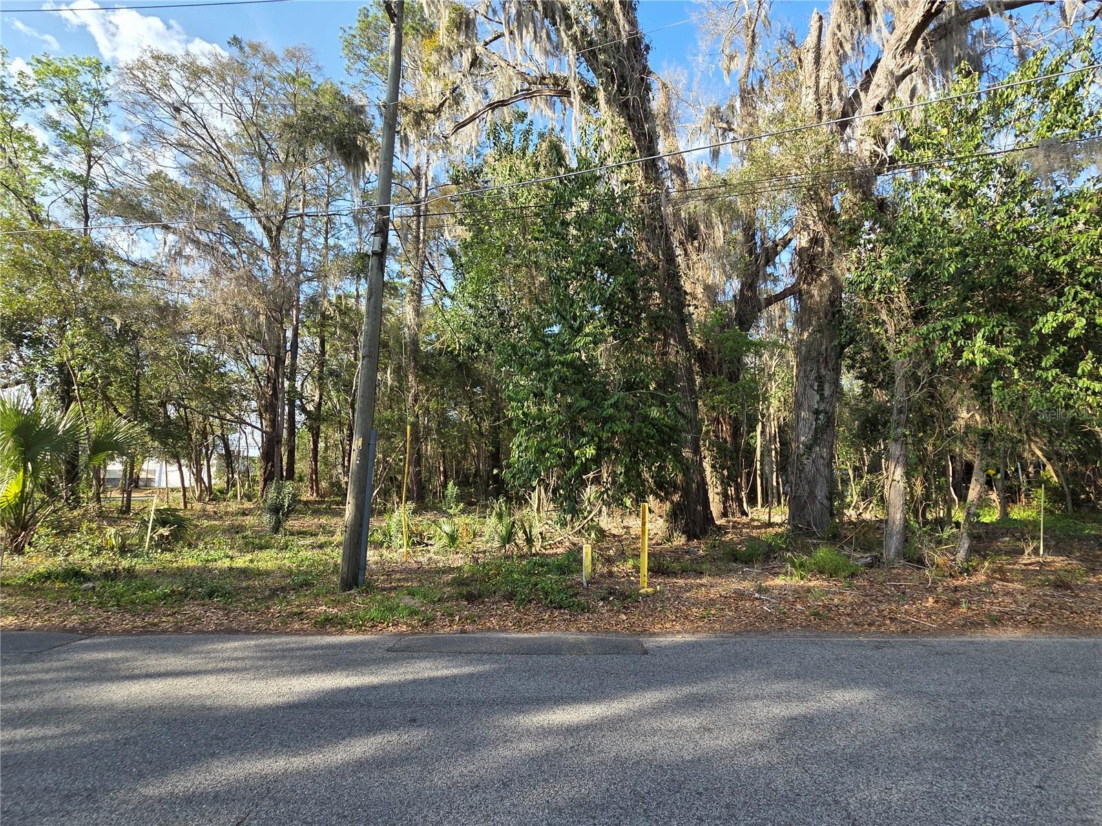 214 NE 13TH AVE, GAINESVILLE, FL — photo 5