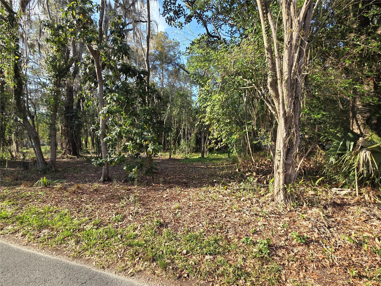 214 NE 13TH AVE, GAINESVILLE, FL — photo 6