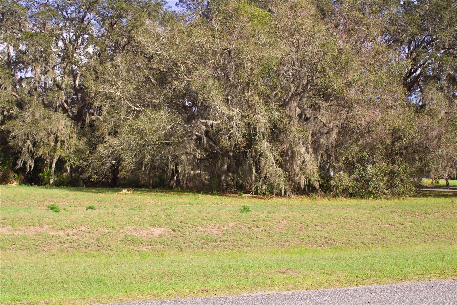 SILENT RIDGE DR #47, TAVARES, FL — photo 7