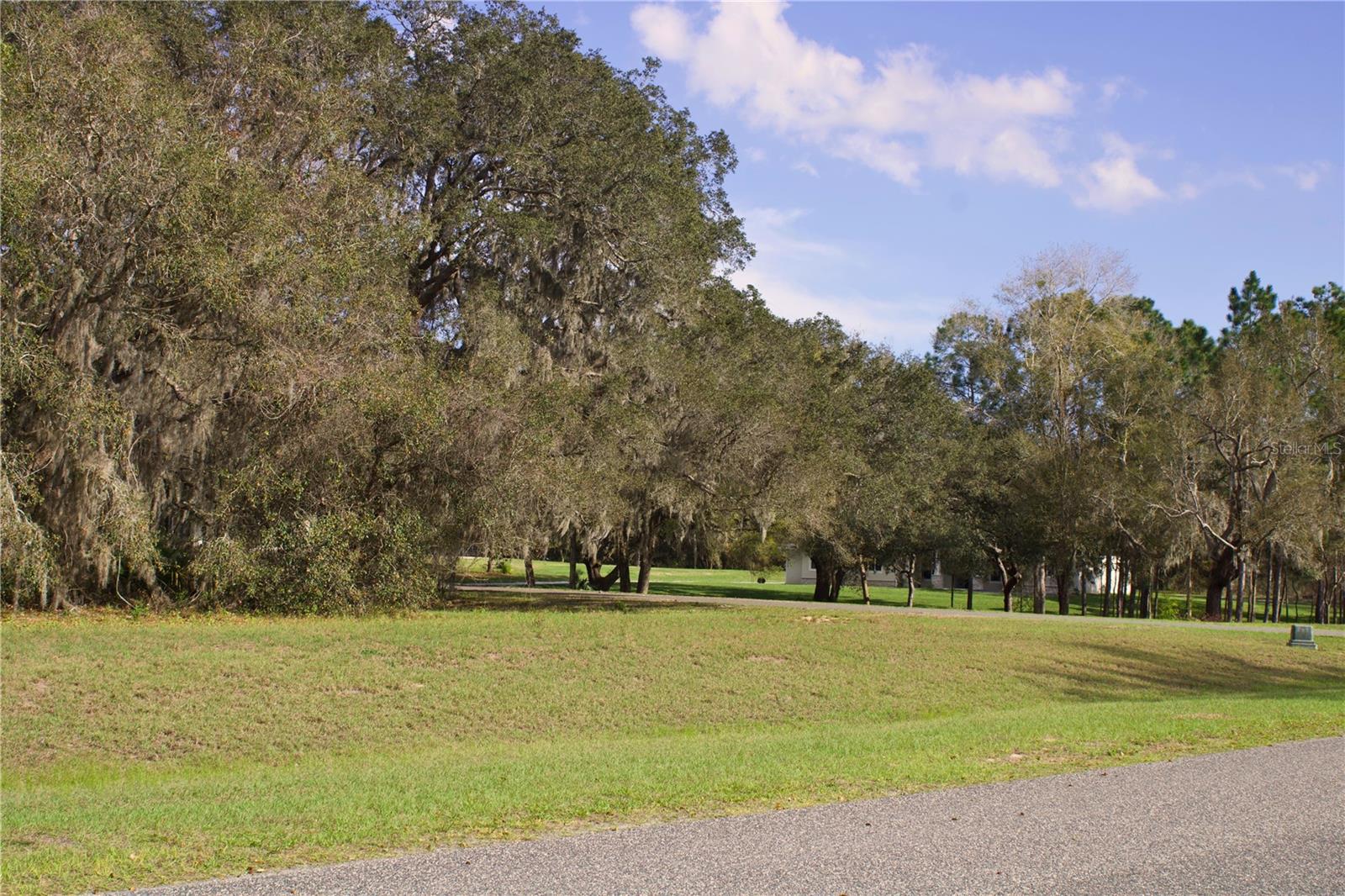 SILENT RIDGE DR #47, TAVARES, FL — photo 9