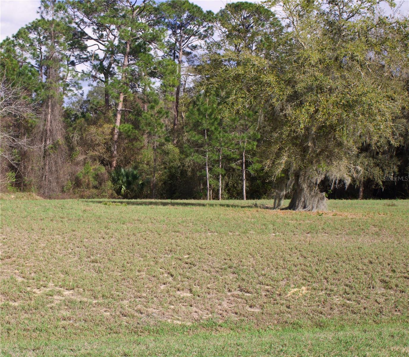 SILENT RIDGE DR #47, TAVARES, FL — photo 13