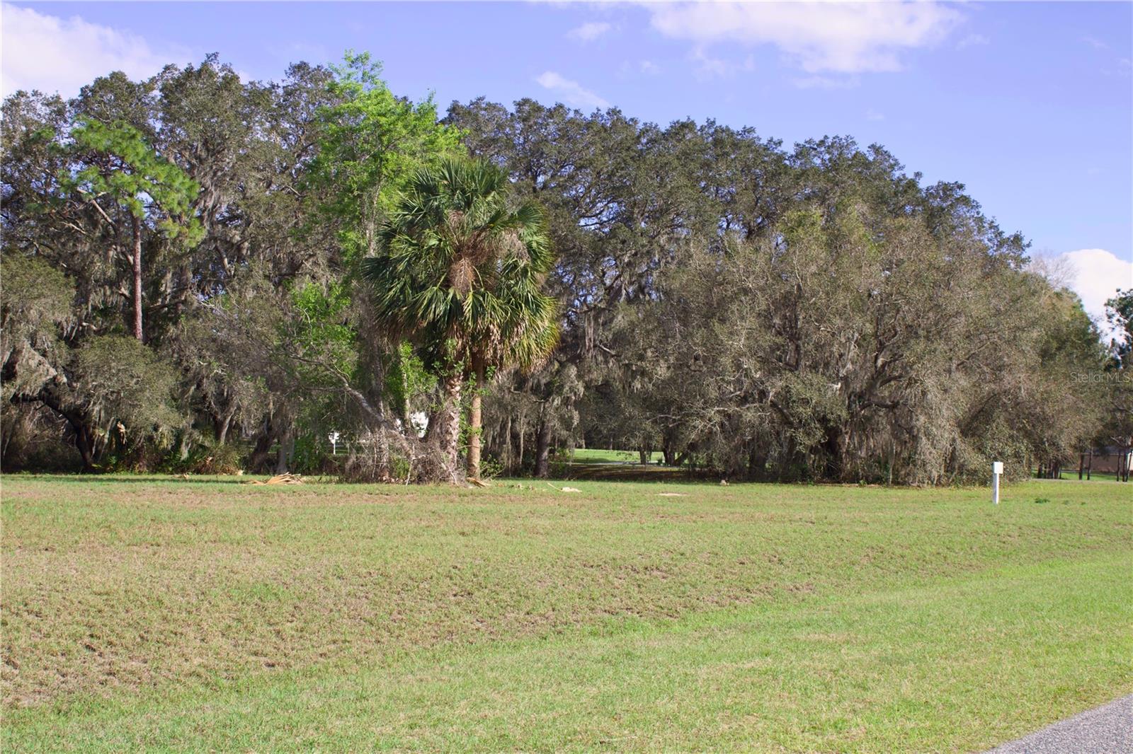 SILENT RIDGE DR #47, TAVARES, FL — photo 18
